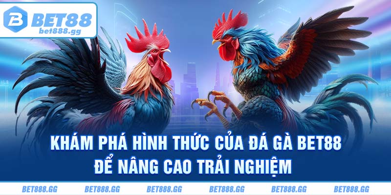 Khám phá hình thức của đá gà Bet88 để nâng cao trải nghiệm