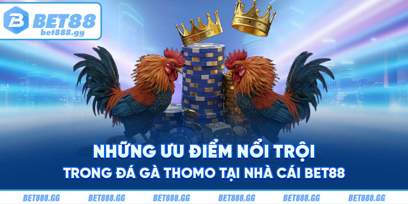 Những ưu điểm nổi trội trong đá gà Thomo tại nhà cái Bet88